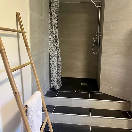 Апартаменты Penthouse Sanctuaire A Лурд